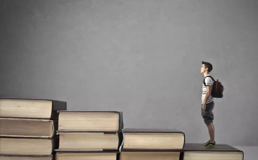 Obraz ilustracyjny do programu MORE z PŁ