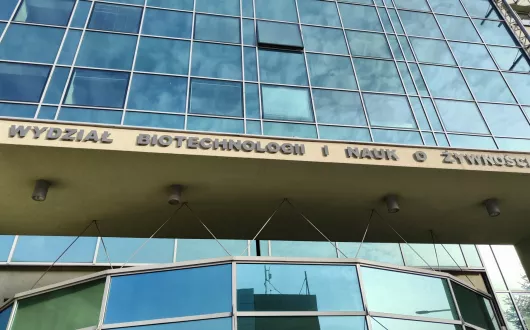 Wejście do Wydziału