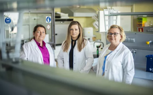 Justyna Rosicka-Kaczmarek Joanna Oracz i Dorota Żyżelewicz