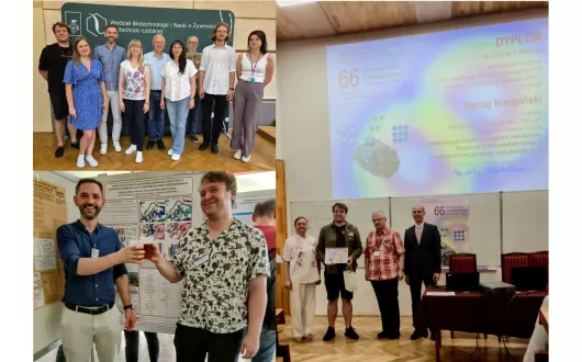 Diament Krystalograficzny