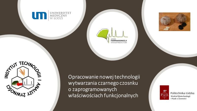 czarny czosnek projekt