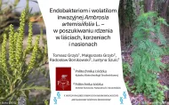 slajd tytułowy prezentacji