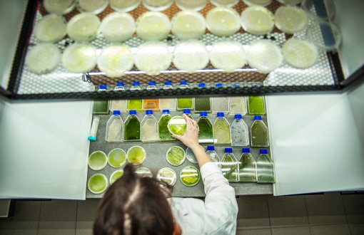 Nauka dla społeczności