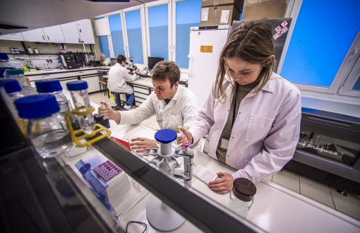 Studia licencjackie I stopnia