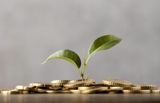 Projekty dydaktyczne