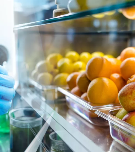 Technologia żywności i żywienia