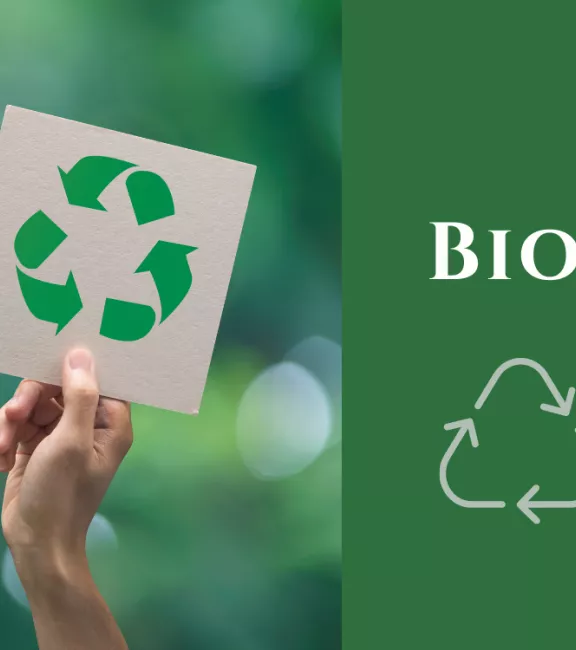 Bioeconomy